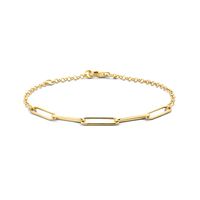 Armband Jasseron-Paperclip-Ronde Buis geelgoud 2,8 mm 17 - 19 cm