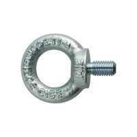 pgb-Europe PGB-FASTENERS | Oogbout C15E DIN 580 M 6 Zn | 50 st 58000100603