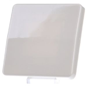 CD 590 BF  - Cover plate for switch/push button CD 590 BF