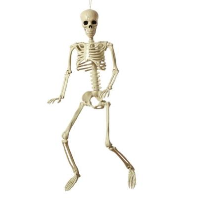 Halloween Decoraties Skelet 82 cm