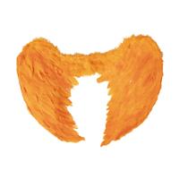 Oranje vleugels - veren - 60x40 cm Oranje vleugels - veren - 60x40 cm