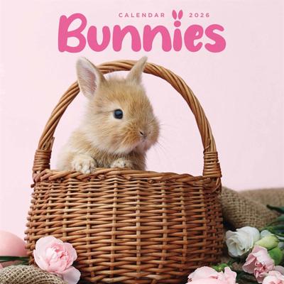 Bunnies Kalender 2026 Mini