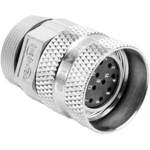 Amphenol MA1CAE1200 Ronde connector Koppeling, recht Totaal aantal polen: 12 Serie (ronde connectoren): MotionGrade™ 1 stuk(s)