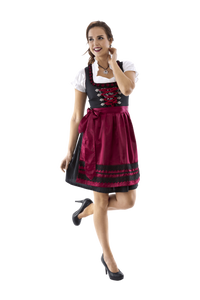 Dirndl Rosy
