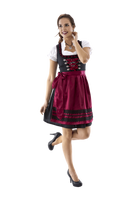Dirndl Rosy