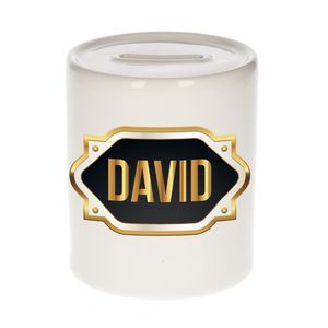 Naam cadeau spaarpot David met gouden embleem