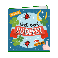 XL Greeting Cards Heel veel succes