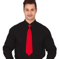 Carnaval verkleed stropdas - rood - polyester - volwassenen/unisex   -