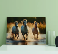 Paarden rennen Canvas schilderij woonkamer