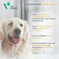 VETEXPERT Multivitamin - vitamine- en mineralenpreparaat voor honden en katten - 30 capsules.