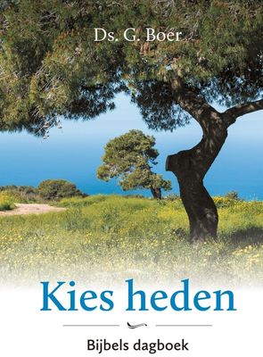 Kies heden - Ds. G. Boer - ebook