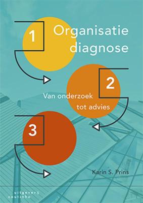 Organisatiediagnose (Paperback)