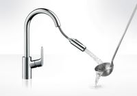 Hansgrohe Focus Keukenkraan Met Uittrekbare Vuistdouche Rvs Look - thumbnail