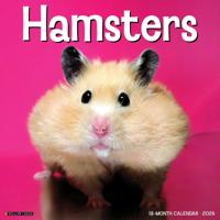 Hamsters Kalender 2026
