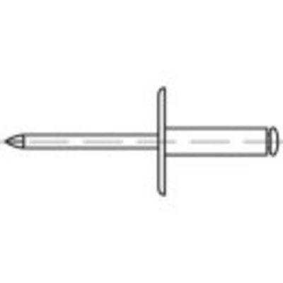 TOOLCRAFT 160311 Open popnagel (Ø x l) 4.8 mm x 10 mm Staal Staal 250 stuk(s) TOOLCRAFT 160311 Open popnagel (Ø x l) 4.8 mm x 10 mm Staal Staal 250 stuk(s)