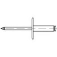 TOOLCRAFT 160311 Open popnagel (Ø x l) 4.8 mm x 10 mm Staal Staal 250 stuk(s) - thumbnail