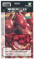 Zomer Bloembollen Uien Braunschweiger Rood (per 500 gram) Baltus - Baltus