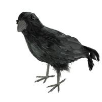 Horror/Halloween raaf/kraai vogel - zwart - 32 cm - thumbnail