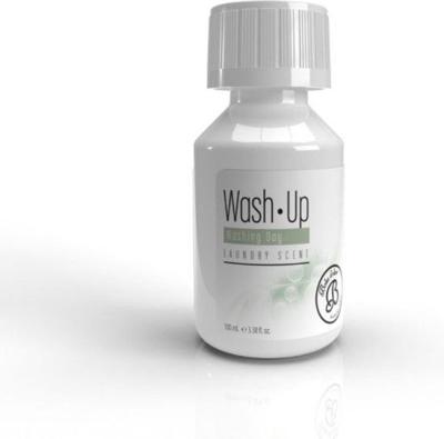 Wash up 100ml washing day - Boles d olor