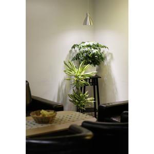 Venso EcoSolutions Indoor Plants energy-saving lamp Neutraal wit 6 W E27