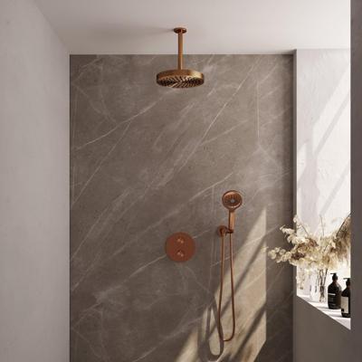 BRAUER Stripe Thermostatische Inbouw Regendouche - 3-weg - rond - SET 42 - 25cm douchekop - plafondarm - 3-standen handdouche - doucheslang - wandaansluitbocht - koper geborsteld PVD 5-GK-447