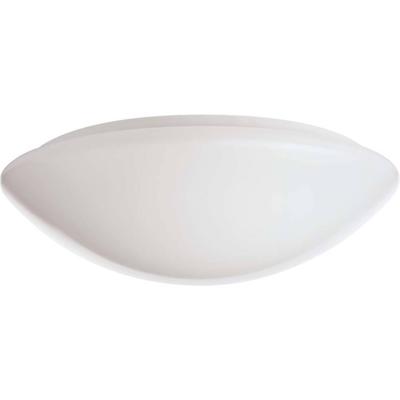 RIDI 420780 420780 LED-plafondlamp LED Wit