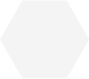 Tegelsample: Jabo Hexagon Timeless vloertegel white 15x17