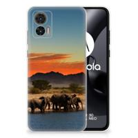 Motorola Edge 30 Neo | TPU Hoesje | Olifanten