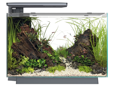 Superfish Quadro 70 Pro zwart