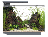 Superfish Quadro 70 Pro zwart