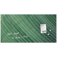 Sigel Artverum Palm Leaf GL371 Glazen magneetbord (b x h) 91 cm x 46 cm Groen