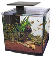 Superfish QubiQ 60 Pro zwart