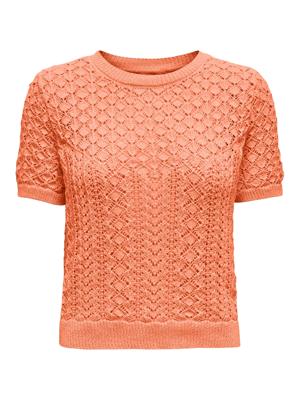 Only Onlsaga Life Ss O-neck Cc Knt Trui Korte Mouw Melon