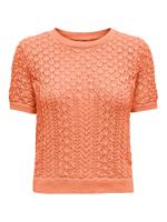 Only Onlsaga Life Ss O-neck Cc Knt Trui Korte Mouw Melon