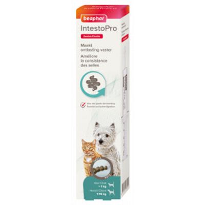Beaphar IntestoPro Pasta hond/kat tot 15 kg 20 ml