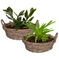 Planten/bloemen mand Levi - 2x - rotan - laag model - D30 x H13 cm - plantenpot voor buiten