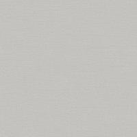 Dutch Wallcoverings Wall Fabric/Bs1 Linen Silver - Zilver