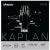 D&apos;Addario Kaplan Vivo KV310 4/4 Heavy vioolsnaren set