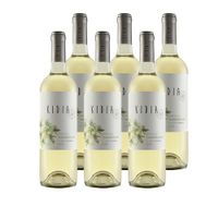 6 flessen Chileense Sauvignon Blanc (750 ml)