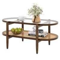Salontafel met 2 Niveaus Middentafel van PE-Rotan met Blad van Gehard Glas Woonkamertafel voor Thuis Kantoor