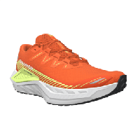 Salomon Drx defy grvl heren - ORANJE - Heren