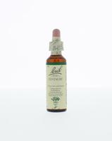 Bach Centaury/duizendgulden