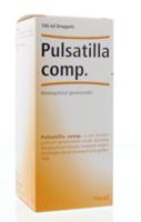 Heel Pulsatilla compositum (100 ml)