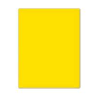 Fiches Iris Geel 50 x 65 cm