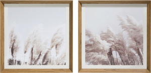 Schilderij Pampas set van 2