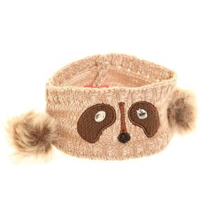 Dieren hoofdband wasbeertje dames