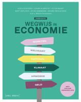 Wegwijs in economie (Paperback)