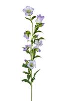Campanula l87cm lila kunstbloem Louis Maes - Louis maes
