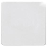 Eltako BLA55E-pg Blinde afdekking Klem