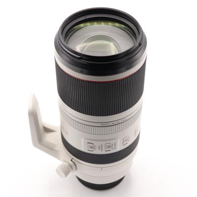 Canon RF 100-500mm F/4.5-7.1L IS USM occasion